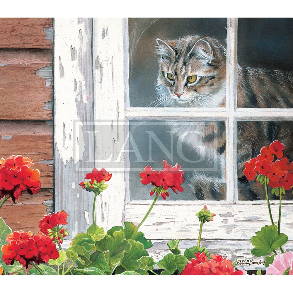 2023 cats in the country wallpaper june width=&quot;1000&quot; height=&quot;1000&quot;
